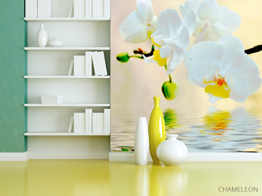 Фотошпалери Білосніжні орхідеї у воді - 3
