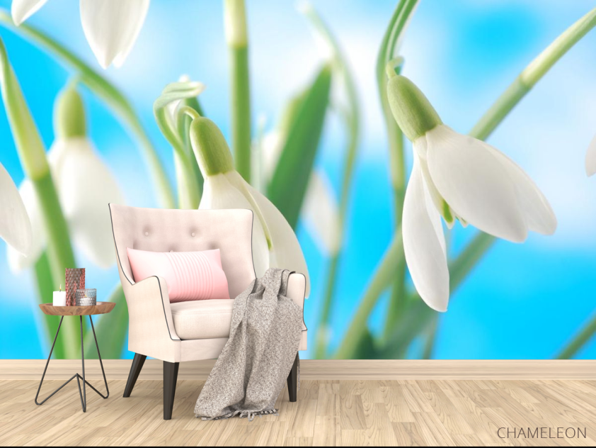 Фотообои подснежники - 4