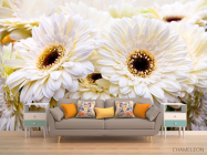 Фотообои кремовая гербера - 1