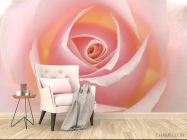 Фотообои Розочка кремовая - 4