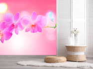 Фотошпалери Блідо-рожеві квіти - 2