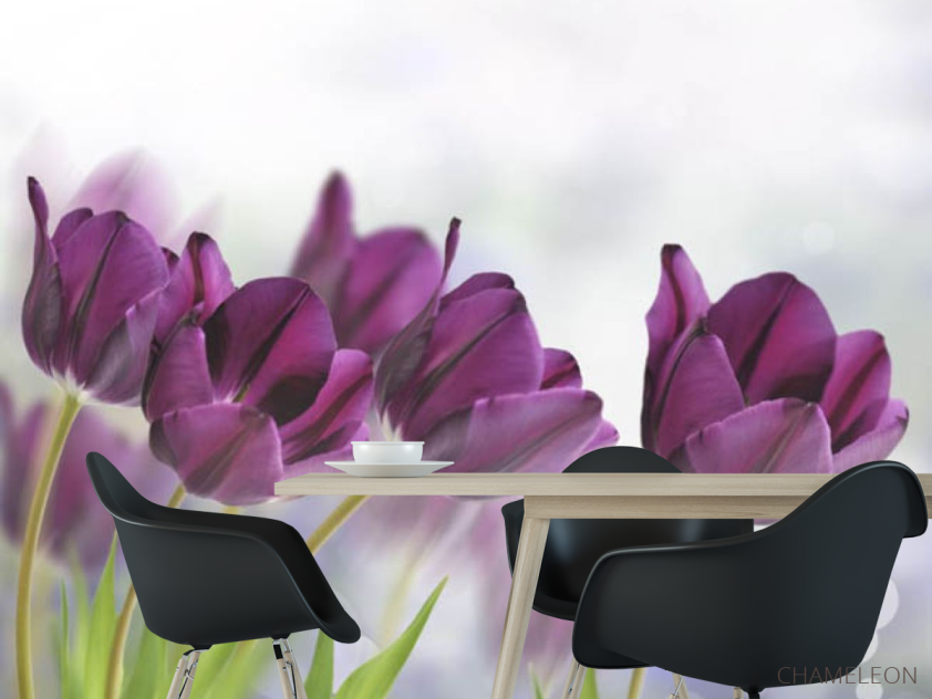 Фотошпалери тюльпани - 1
