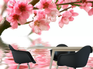 Фотошпалери Рожеві квітки і вода - 1