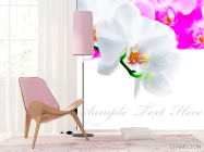 Фотошпалери Біло-рожеві орхідеї - 4