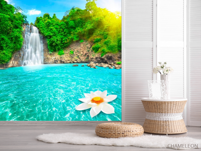 Фотообои Лилия на воде - 2