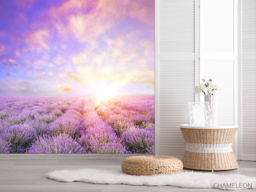 Фотошпалери Схід у провансі - 2