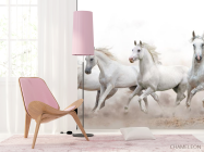 Фотошпалери чотири білі коні - 4