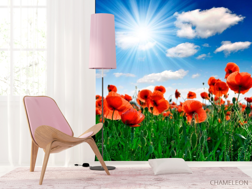 Фотообои Маки под палящим солнцем - 4