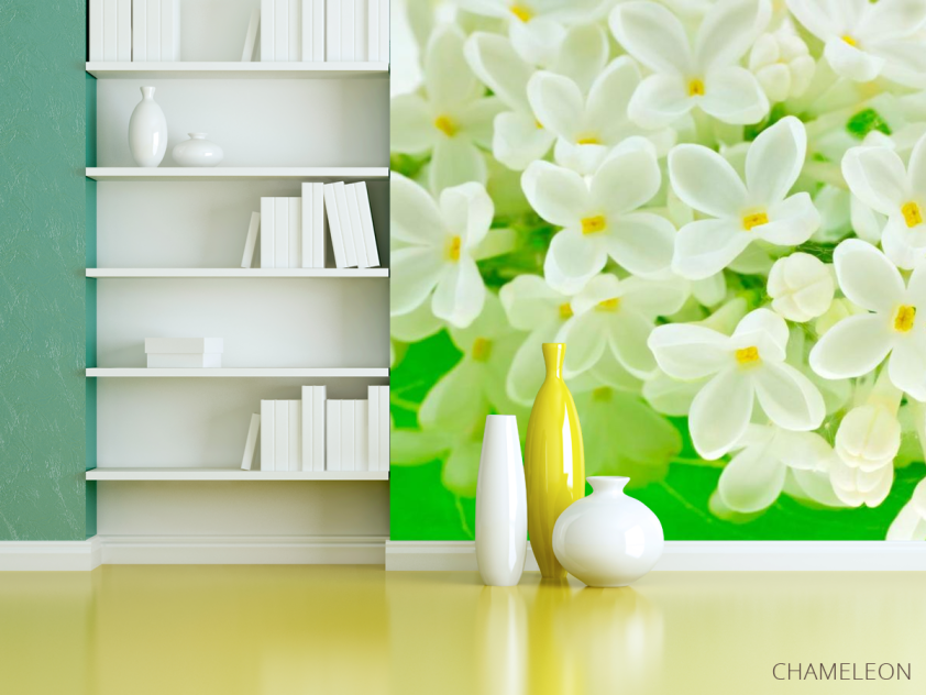 Фотошпалери Маленькі біленькі квіточки - 3