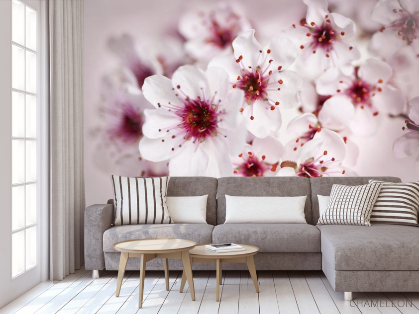 Фотообои цвет вишни - 3