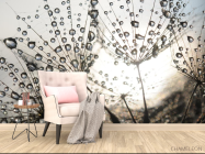 Фотообои капли и одуванчик - 4