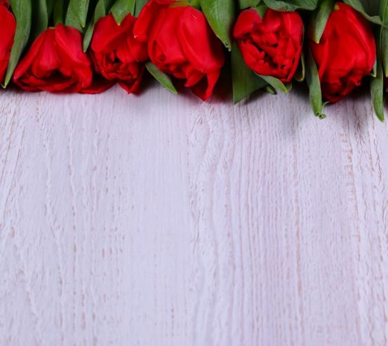 Фотошпалери червоні троянди на білому дерев'яному тлі 21215