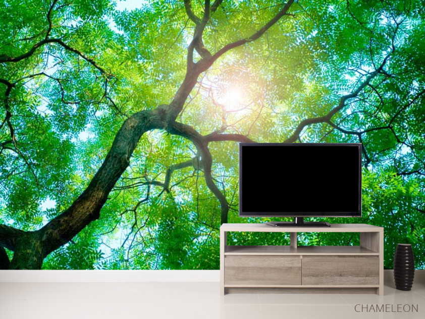 Фотообои Дерево, солнце - 2