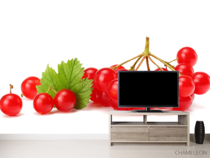 Фотообои калина - 2