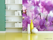 Фотошпалери бузкові квіточки на дереві - 3