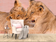 Фотообои Игра тигрят - 4