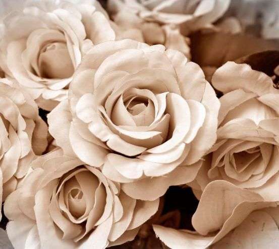 Фотообои 3D розы Фотообои 3D розы 15556