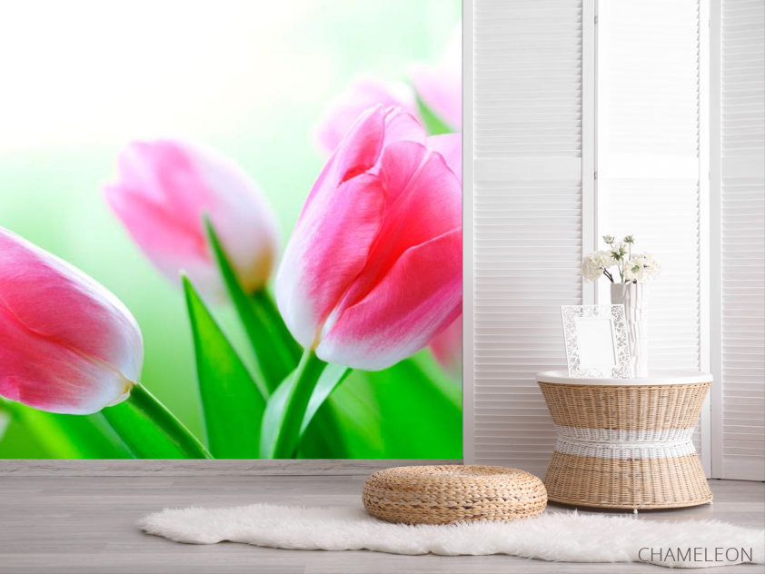 Фотошпалери Тюльпани в цвіту - 2