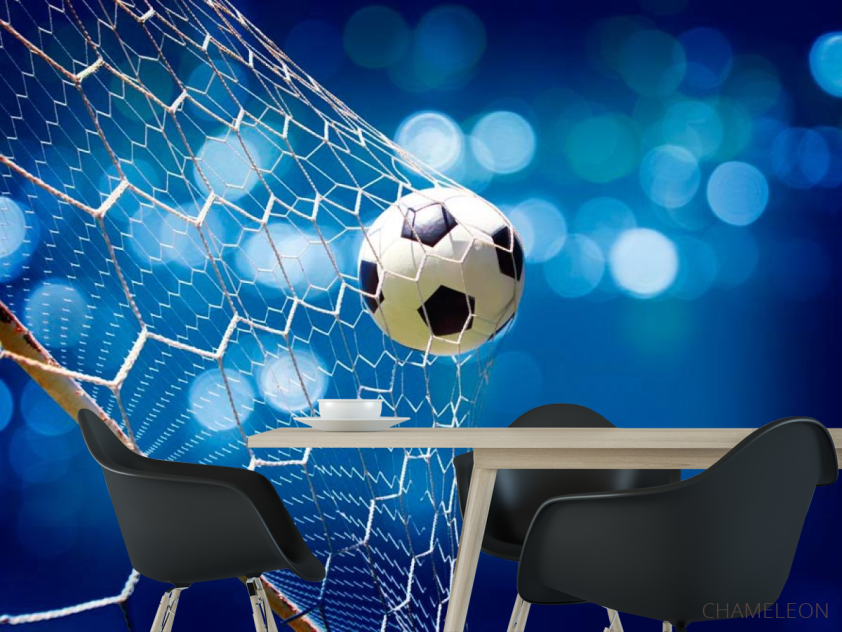 Фотошпалери Сітка з м'ячем - 1