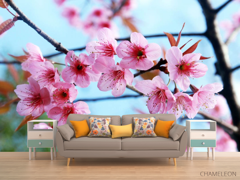 Фотообои Цветущая ветка - 1