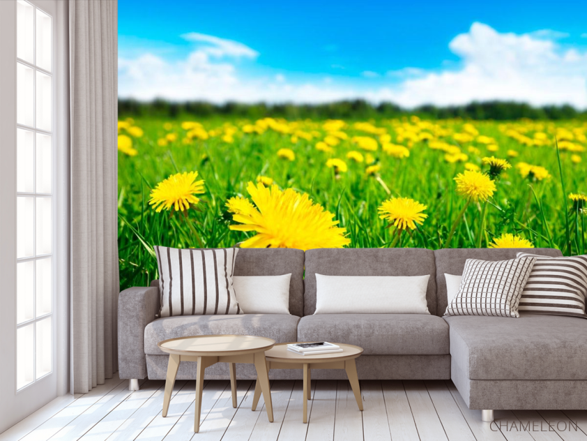 Фотообои Одуванчиковое поле - 3