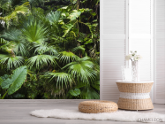 Фотошпалери тропічні листя - 2
