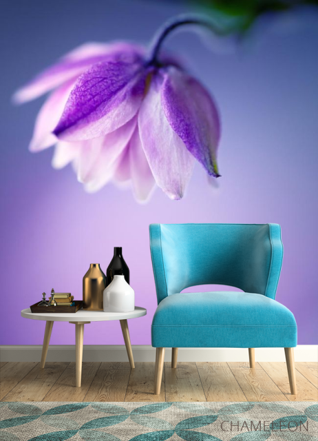 Фотообои сиреневый цветочек на сиреневом фоне - 4