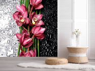 Фотошпалери Бордові орхідеї - 2