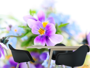 Фотошпалери Бузкові братки - 1