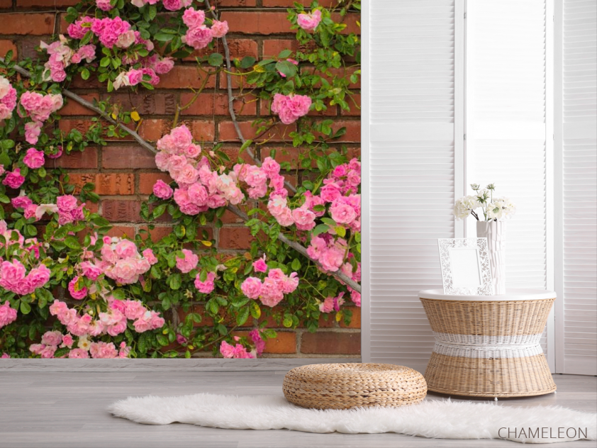 Фотошпалери чайна троянда на цегляній стіні - 2