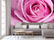 Фотообои Роса на розе - 3