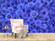 Фотообои синий Остеоспермум - 4