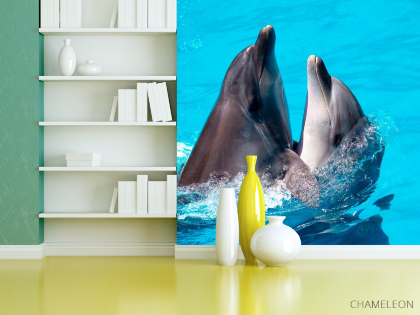 Фотошпалери Два дельфіна - 3