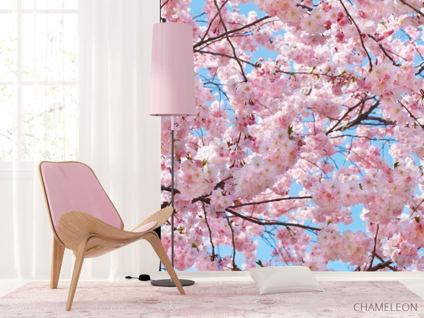 Фотошпалери квітуче дерево - 4