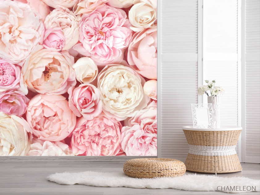 Фотошпалери Пудрові бутони півоній - 2