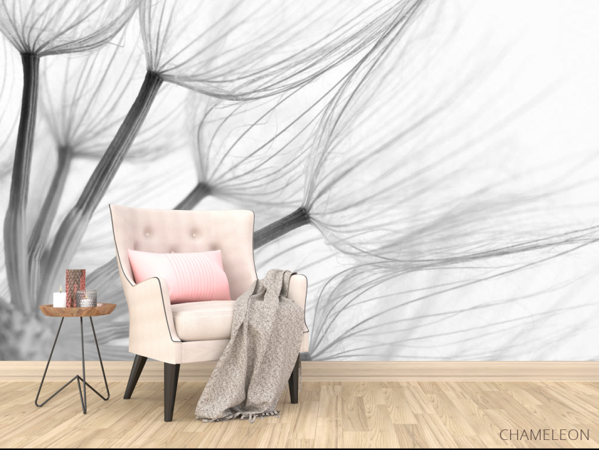 Фотообои Одуванчик - 4