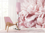 Фотошпалери Півонія макро - 4