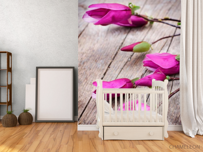 Фотообои Цветок семейства бобовых - 2