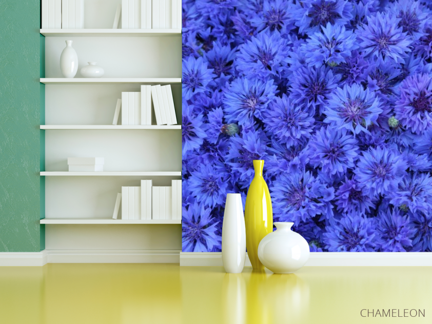 Фотошпалери синій Остеоспермум - 3