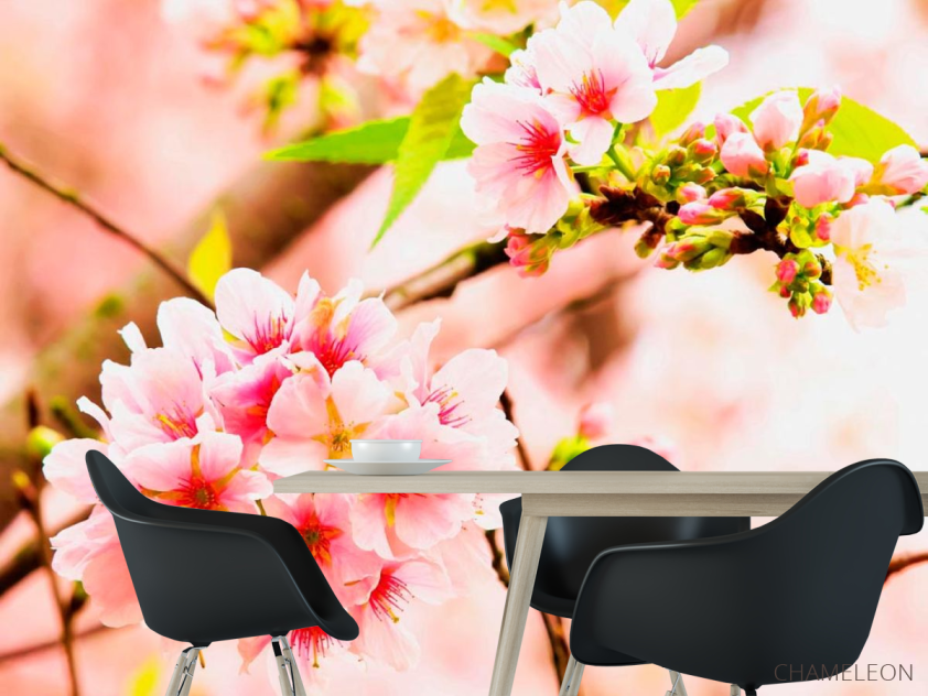 Фотошпалери Суцвіття рожевих квітів - 1