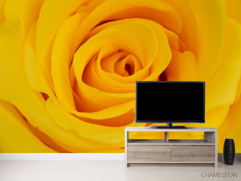 Фотообои желтая роза - 2