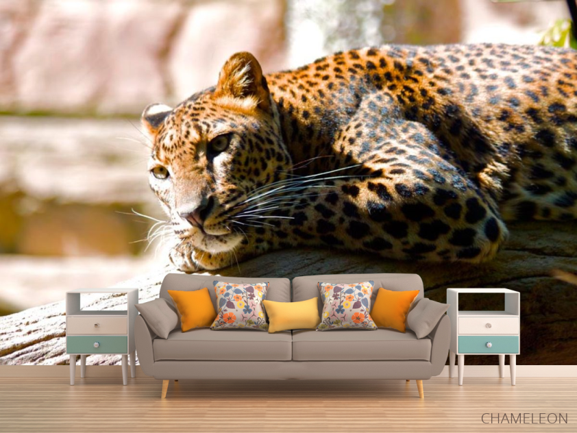 Фотообои Мечтающий гепард - 1