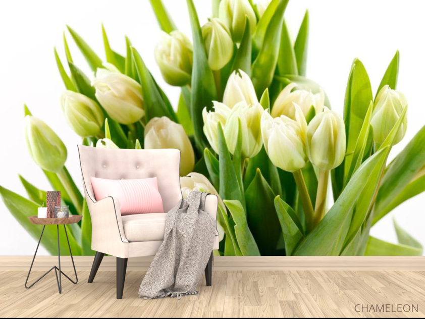 Фотообои Тюльпаны - 4