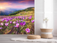 Фотошпалери весна, гори - 2