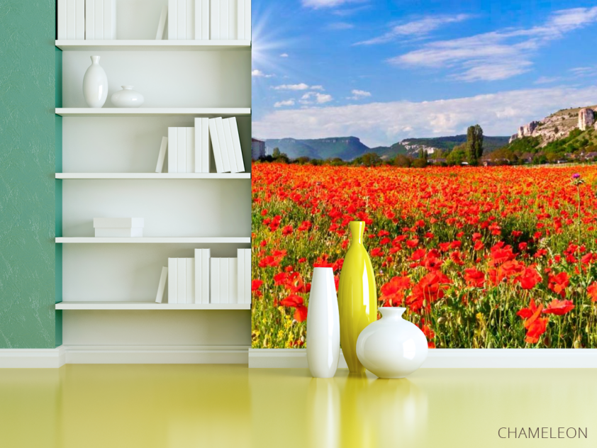 Фотошпалери Поле маків - 3