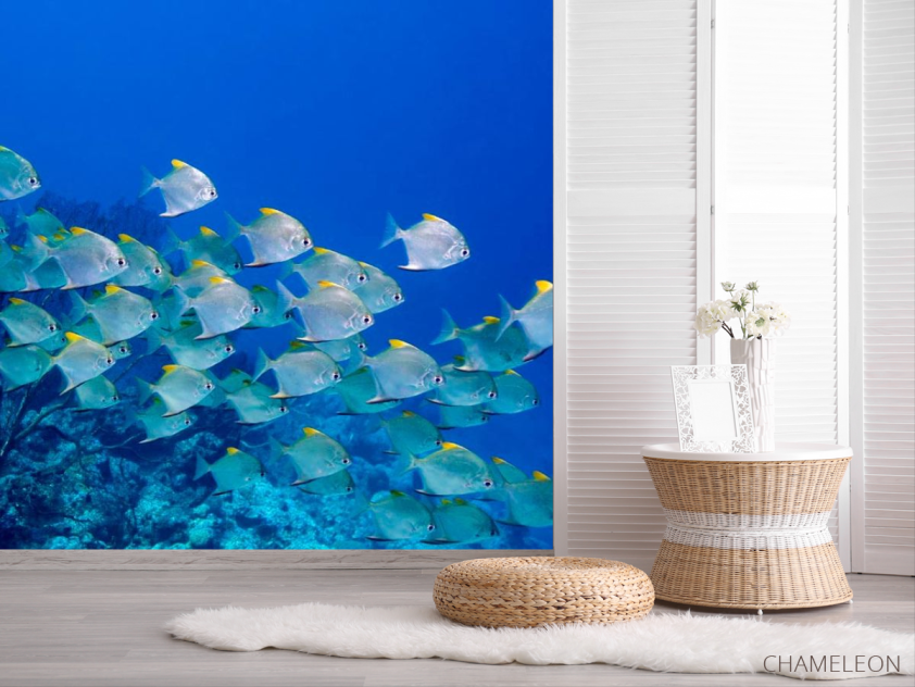 Фотошпалери Зграя риб - 2