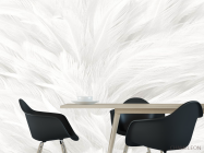 Фотошпалери Білі пір'я - 1