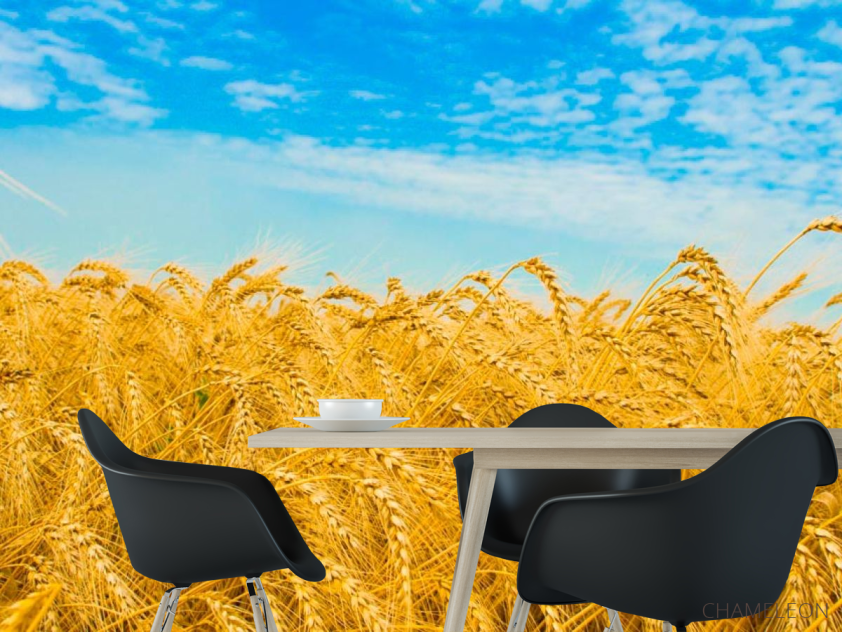 Фотошпалери Пшениця - 1
