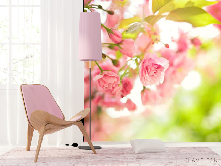 Фотошпалери рожеві квітки - 4