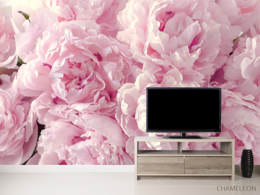 Фотообои пушистые розовые пионы - 2